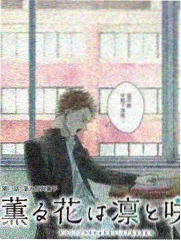 晓晓影视海报墙 深夜书桌会 慢综艺